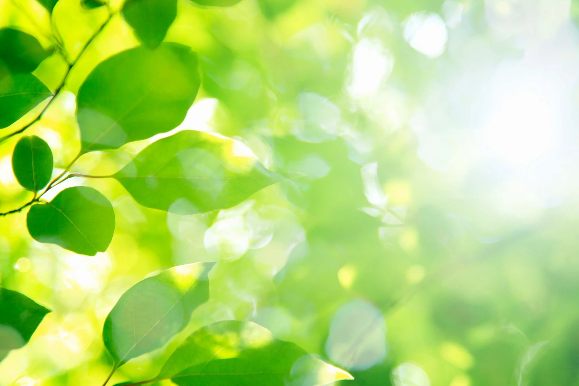 西都市寒川で整体をお探しの方必見！出張整体なら２０年以上の実践のなか療整院